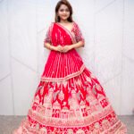 Regal Red Heritage Artwork Lehenga