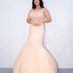Blush Champagne Heavy Embellished Mermaid Lehenga Set